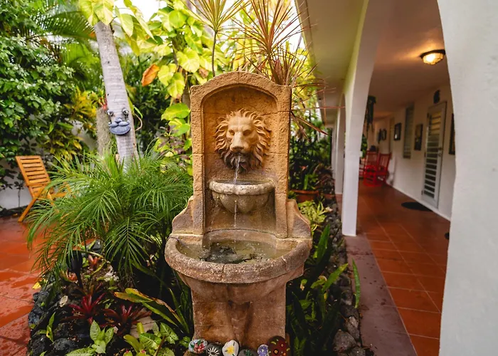 Coconut Palms Rincon